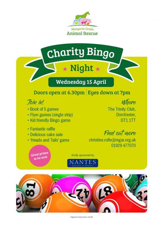 Charity Bingo Evening (Dorset)